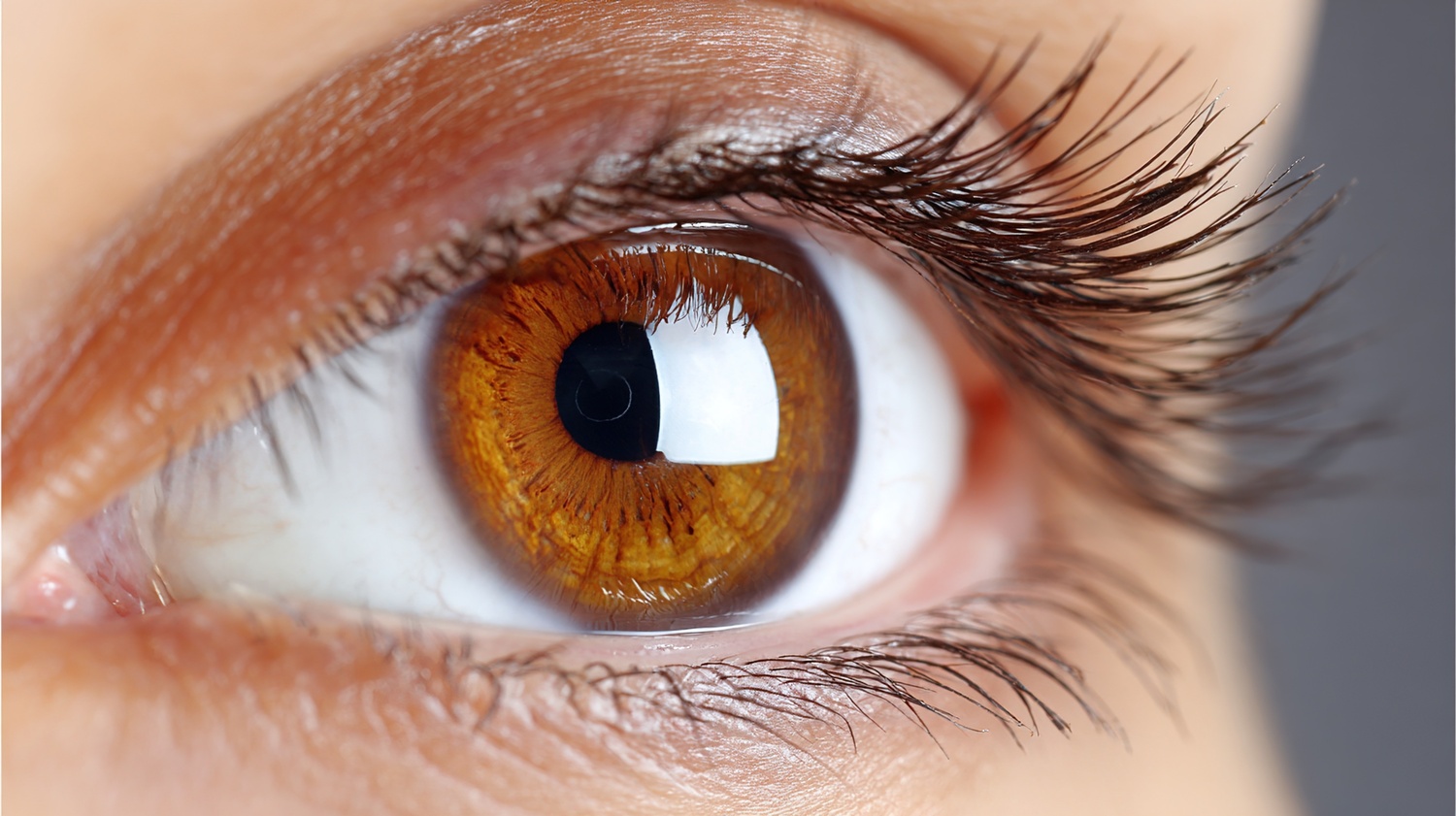 Что такое зрение и как оно работает у человека